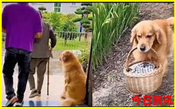 西安古街有哪些景点